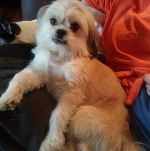 Meet your Posher, Sherry